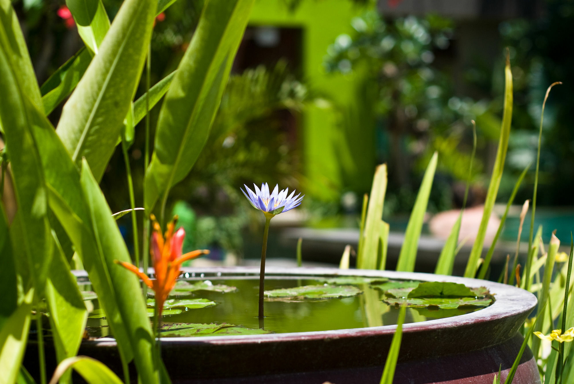 Cicada Luxury Townhouses Seminyak  Ngoại thất bức ảnh
