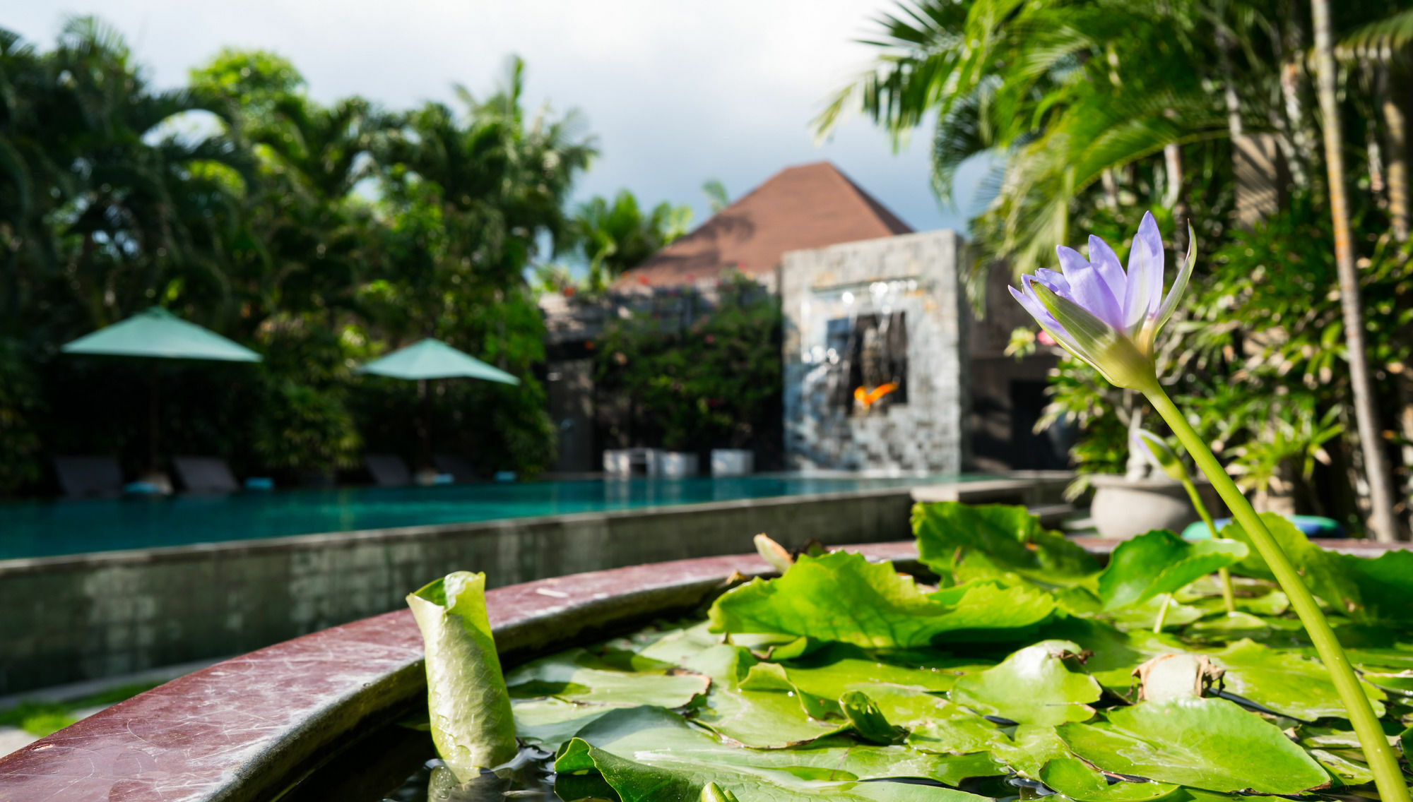 Cicada Luxury Townhouses Seminyak  Ngoại thất bức ảnh